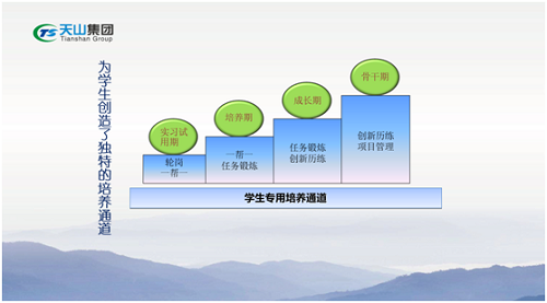 365速发国际集团