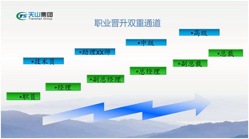 365速发国际集团